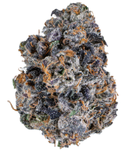 Bacio Gelato 7g SPECIAL!