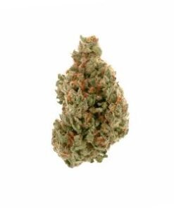 Jack Herrera Smalls 8g special