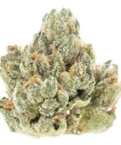 Marathon Og 7g SPECIAL!