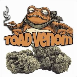 Toad Venom - Smalls 7g SPECIAL!