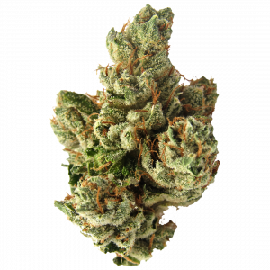 Top Shelf OG Kush 7g 45$