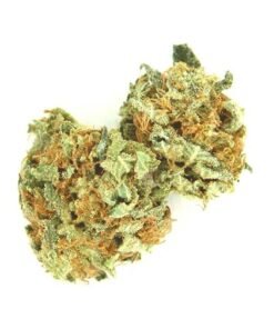 Buy AK 47 Strain