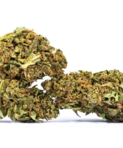 Buy Acapulco Gold strain