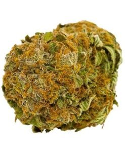 Buy Afghan Kush Online
