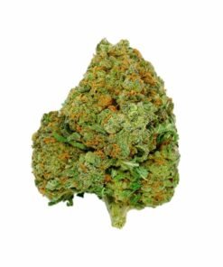 Buy Alaskan Thunder Strain