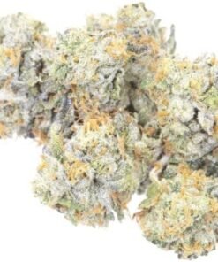 Buy Banana Mochi Strain