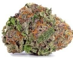 Buy Biscotti Strain Online