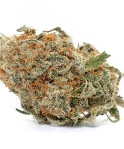 Buy Blue Cheese Strain