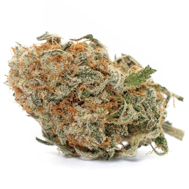 Buy-Blue-Cheese-Strain.jpeg