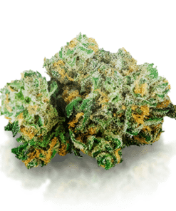 Buy Blue Dream Strain