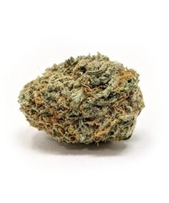 Buy Blueberry Haze Strain