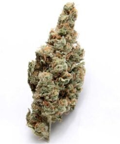 Buy Bruce Banner Strain