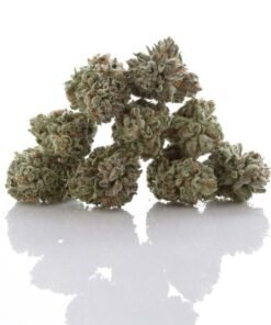 Buy Bubba Kush Strain