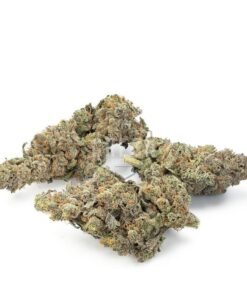 Buy Candyland Strain Online