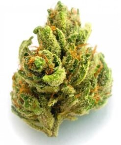 Buy Chemdawg Strain Online