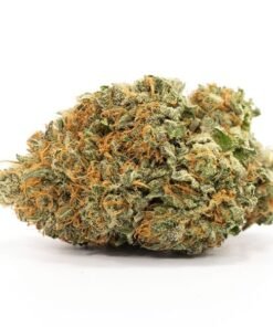 Buy Comatose Strain Online