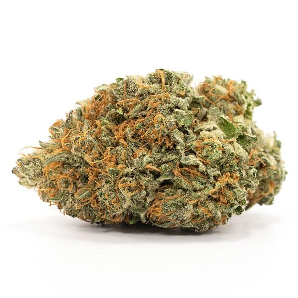 Buy-Comatose-Strain-Online.jpeg