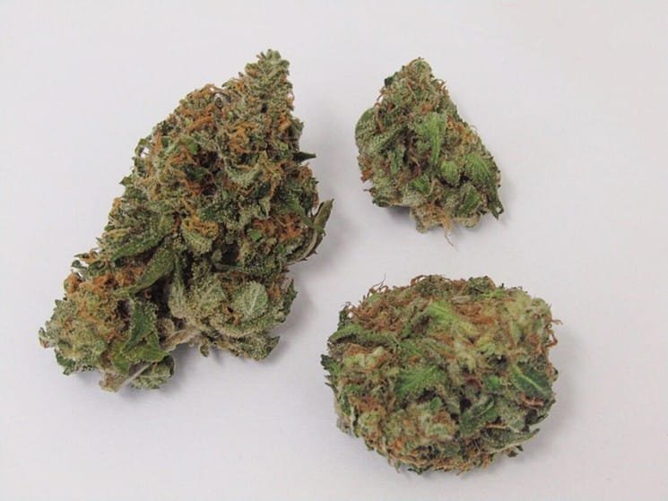 Buy-Critical-Mass-Strain.jpg