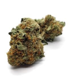 Buy Death Star Strain