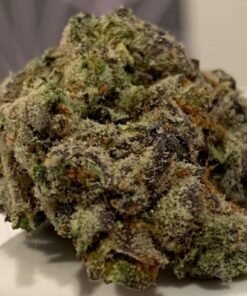 Buy Dragon OG Strain