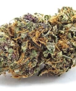 Buy Forbidden Fruit Strain