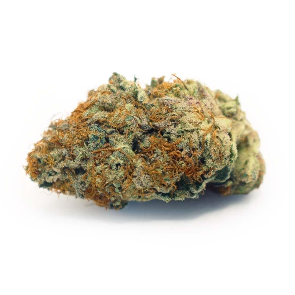 Buy-Fritter-Mintz-Strain-1.jpg