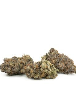 Buy Fruit Punch Strain