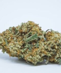 Buy Golden Goat Strain