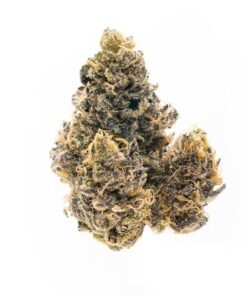 Buy Grapefruit Strain Online
