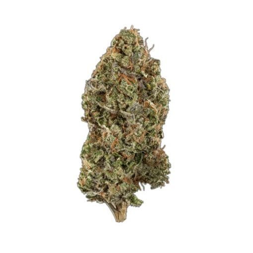 Buy-Gushers-Strain-Online.jpg