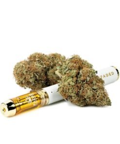 Buy Harlequin Strain Online