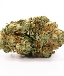 Buy Hindu Kush Online