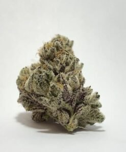 Buy Ice Cream Strain