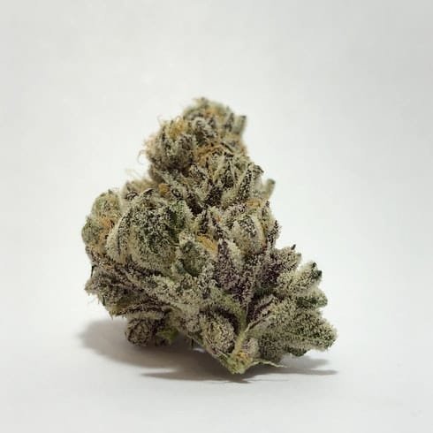 Buy-Ice-Cream-Strain.jpg