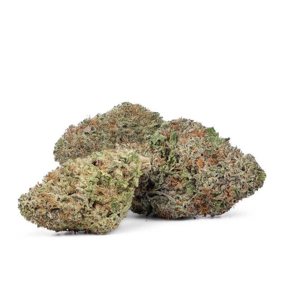 Buy-Jack-Herer-strain.jpg