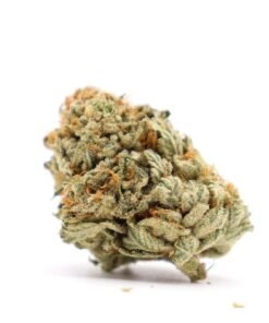 Buy King Kush Strain