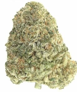 Buy King Louis Strain