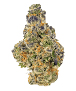 Buy Kush Mints Strain