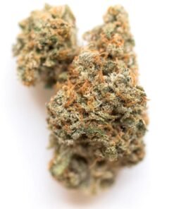 Buy Lemon Meringue strain