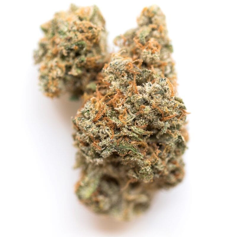 Buy-Lemon-Meringue-strain.jpg