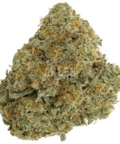 Buy Maui Wowie strain