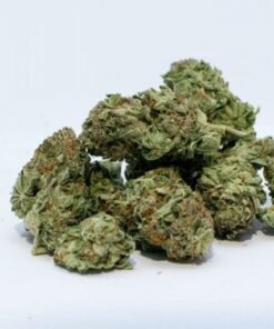 Buy Mimosa Strain Online