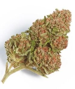 Buy Northern Lights Strain