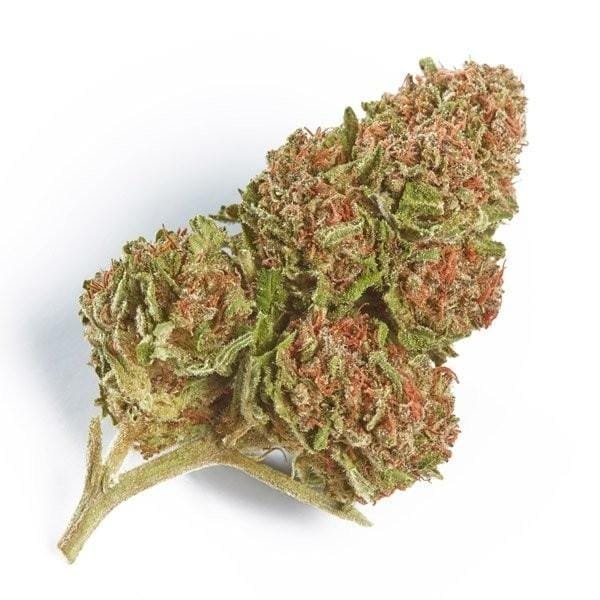 Buy-Northern-Lights-Strain.jpeg
