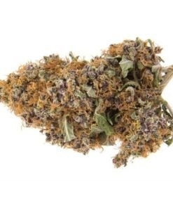 Buy Purple Haze Online