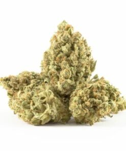 Buy Silver Haze Strain