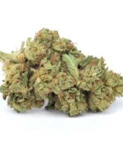 Buy SkyWalker OG Strain