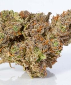 Buy Stardawg Strain Online