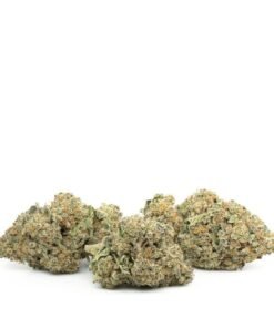 Buy Strawberry Cough Strain