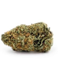Buy Sunset Sherbet Strain